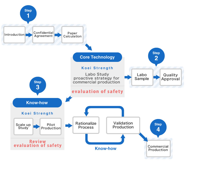 Flow of Custom Synthesis