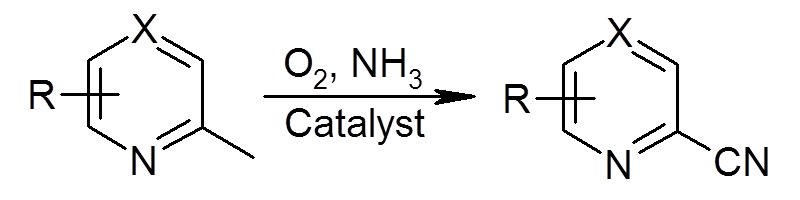 スキーム2　アンモ酸化反応例