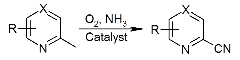 Schema 2: ammoxidation