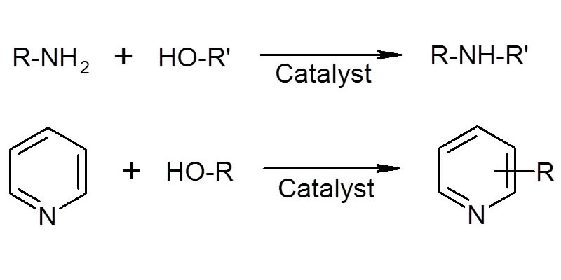 g. Alkylation