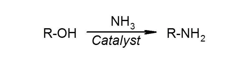 (3) Amination of alcohols (2) Amination of alcohols