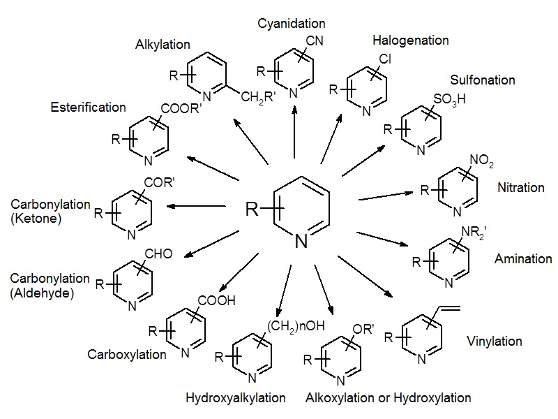 Technologies and Facilities for Fine Organic Synthesis